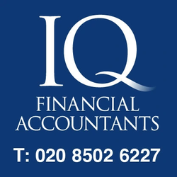 IQ Financial Accountants Logo
